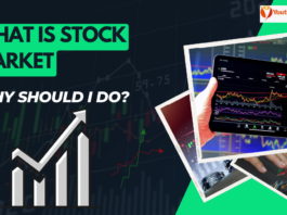What is the stock market and why should I do the stock market?
