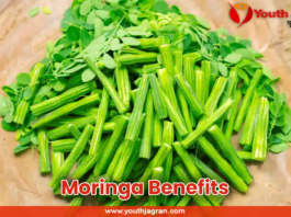 Moringa